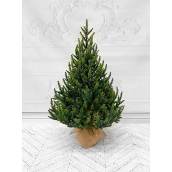 Ель TRIUMPH TREEКОРОЛЕВСКАЯ 100% литая 90 см в мешочке зеленая